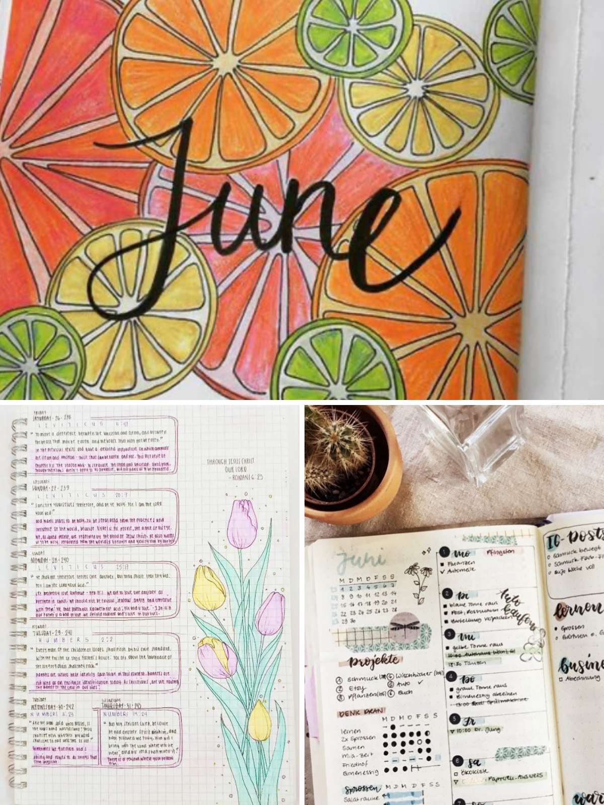 Citrus June cover. Tulip planner idea. blogger planner idea. 
